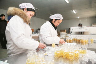 長葛蜂產(chǎn)業(yè) 星星之火，如何實現(xiàn)蜂火燎原