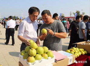 中國汾西第二屆核桃節(jié)暨消費扶貧農(nóng)產(chǎn)品展銷會盛大開幕，助力初級農(nóng)產(chǎn)品產(chǎn)業(yè)發(fā)展