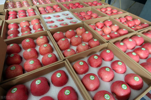 貨主拉蘋果蕉被收千元過路費 農產品分類爭議引發關注