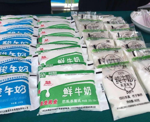 我市多舉措增進民生福祉 養老金上調、交通優化與科技興農齊頭并進