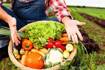 初級農產品 定義、監管與經營許可解讀