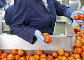 從源頭到餐桌 提升家禽家畜農副食品加工業競爭力的策略