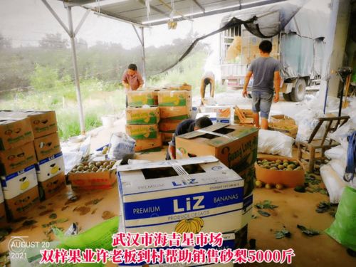 線上線下齊發力，石橋驛鎮為滯銷農產品打開新銷路